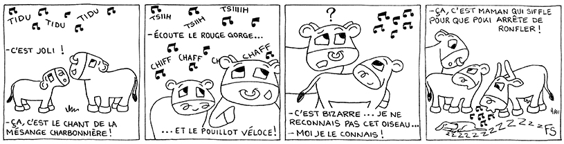 une histoire de Mirabelle